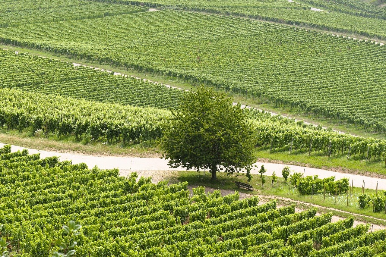 絶景露天貸切でカップル宿泊に最適な宿はどこ？