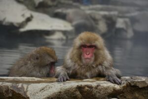 温泉宿の露天風呂を利用する際の注意点は？