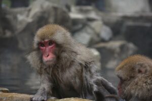 露天風呂のある温泉宿を選ぶ際の相談ポイントは？